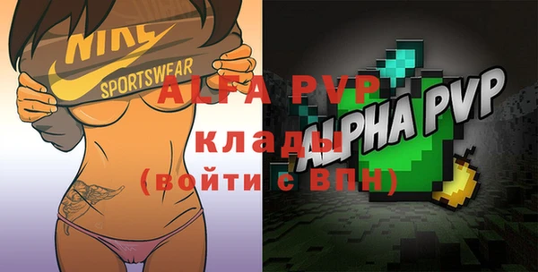 спиды Новозыбков