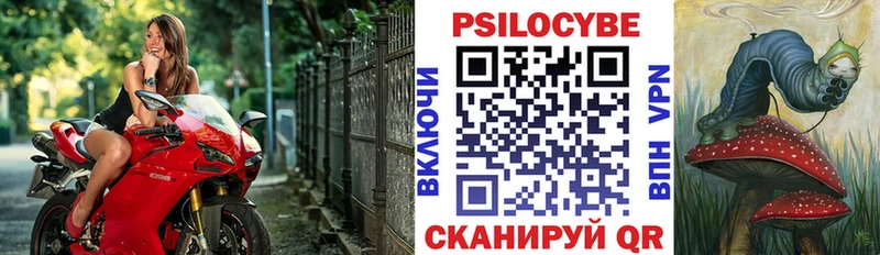 даркнет сайт  Дзержинск  Галлюциногенные грибы Psilocybine cubensis 